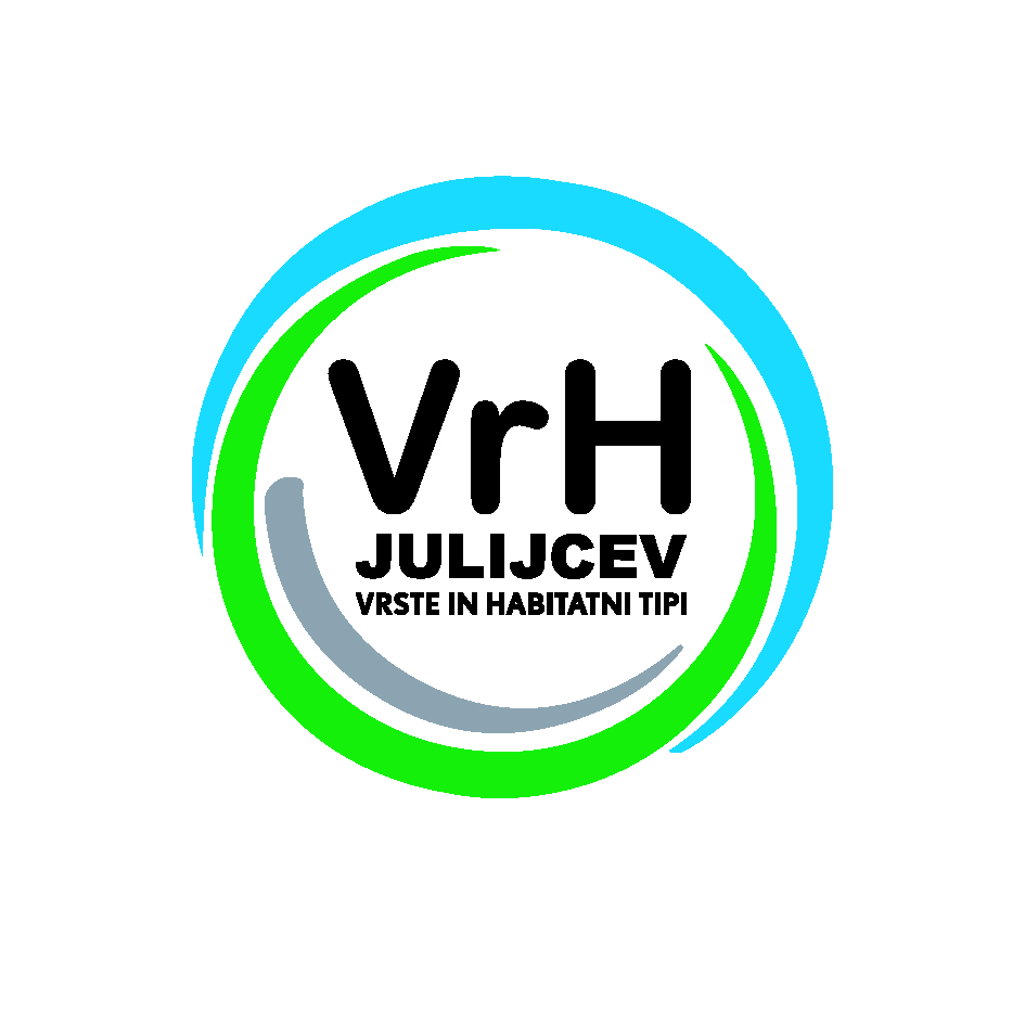 VrH Julijcev_barvni